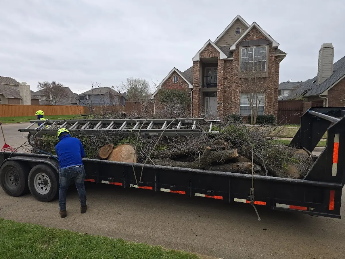 Expert Tree Fertilization with proper safety equipment in Tyronza